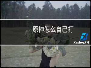 原神怎么自己打