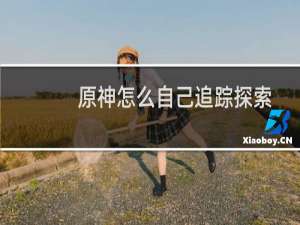 原神怎么自己追踪探索