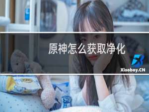 原神怎么获取净化