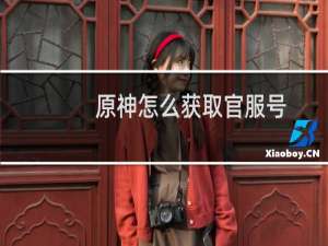 原神怎么获取官服号