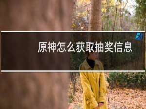 原神怎么获取抽奖信息