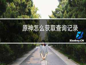 原神怎么获取查询记录