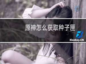 原神怎么获取种子匣
