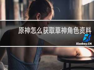 原神怎么获取草神角色资料