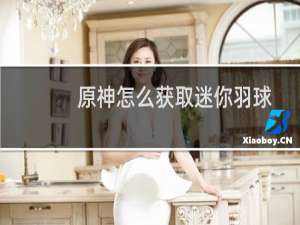 原神怎么获取迷你羽球