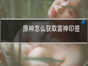 原神怎么获取雷神印签