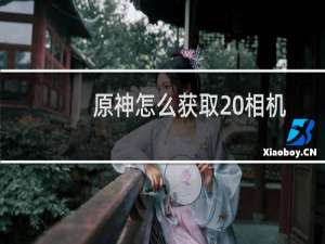 原神怎么获取 相机