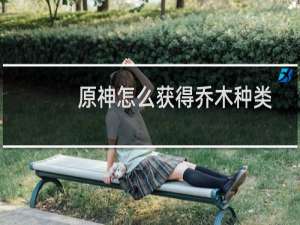原神怎么获得乔木种类