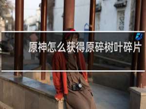 原神怎么获得原碎树叶碎片