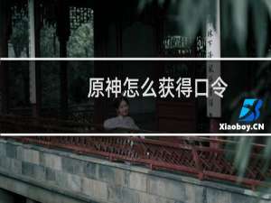 原神怎么获得口令