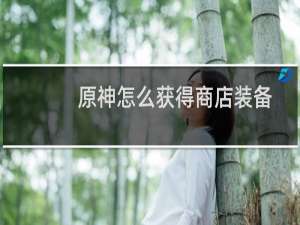 原神怎么获得商店装备