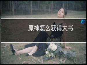 原神怎么获得大书