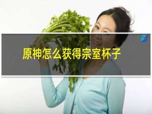 原神怎么获得宗室杯子