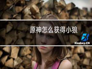 原神怎么获得小狼