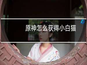 原神怎么获得小白猫