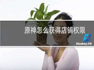 原神怎么获得店铺权限