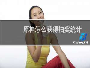 原神怎么获得抽奖统计