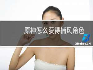 原神怎么获得捕风角色