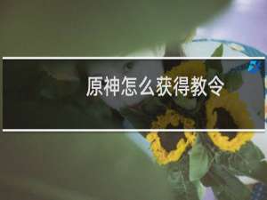 原神怎么获得教令