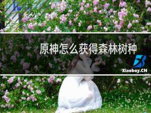 原神怎么获得森林树种