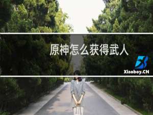 原神怎么获得武人