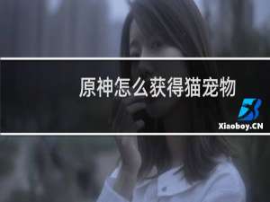 原神怎么获得猫宠物