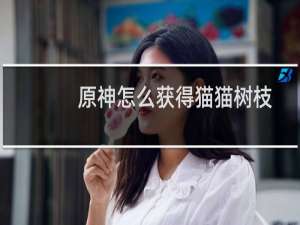 原神怎么获得猫猫树枝
