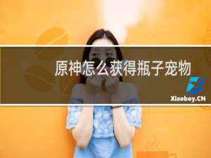 原神怎么获得瓶子宠物