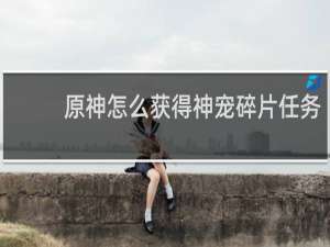 原神怎么获得神宠碎片任务