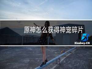 原神怎么获得神宠碎片