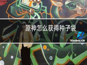原神怎么获得种子袋