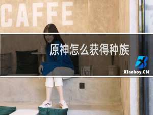 原神怎么获得种族