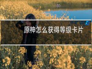 原神怎么获得等级卡片