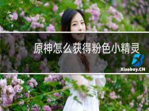 原神怎么获得粉色小精灵