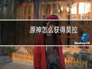 原神怎么获得莫拉