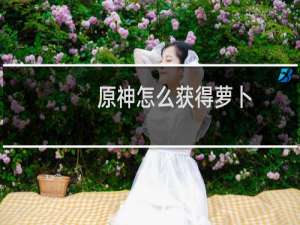 原神怎么获得萝卜