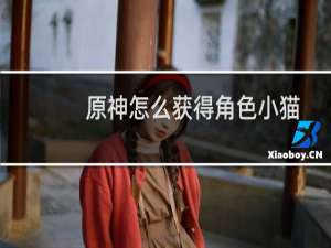 原神怎么获得角色小猫