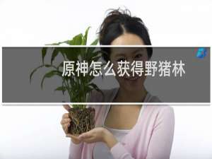 原神怎么获得野猪林