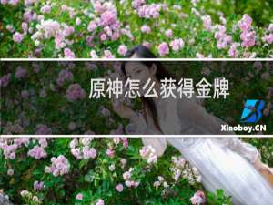 原神怎么获得金牌