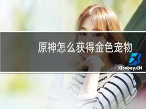 原神怎么获得金色宠物
