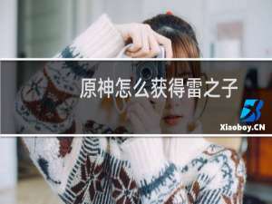 原神怎么获得雷之子