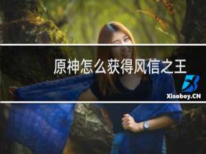 原神怎么获得风信之王