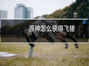 原神怎么获得飞猪