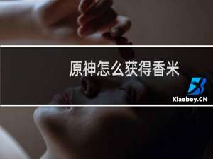原神怎么获得香米