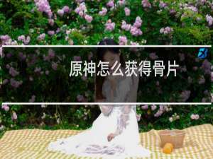 原神怎么获得骨片