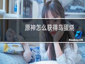 原神怎么获得鸟蛋烧