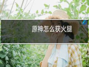 原神怎么获火腿
