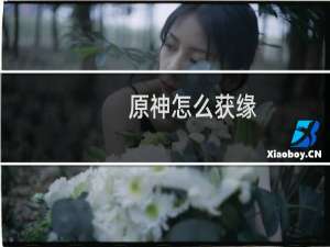原神怎么获缘