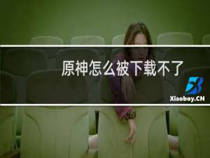 原神怎么被下载不了
