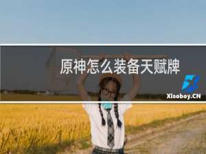 原神怎么装备天赋牌